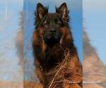 Small #6 Breeder Profile image
