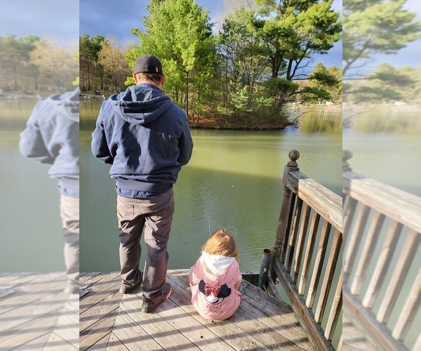 Medium Photo #1  Breeder Profile in FORT EDWARD, NY, USA