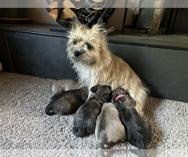 Medium Photo #1  Breeder Profile in FAIR OAKS, CA, USA
