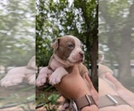 Small #5 Breeder Profile image