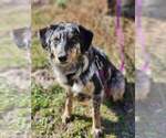 Small #67 Breeder Profile image