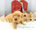 Small #2 Breeder Profile image