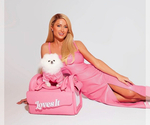 Small #39 Breeder Profile image