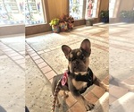 Small #13 Breeder Profile image