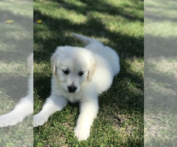Medium Photo #8  Breeder Profile in HEMET, CA, USA