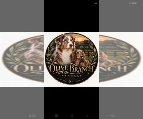 Medium Photo #1  Breeder Profile in FLEMINGSBURG, KY, USA