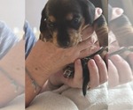 Small #28 Breeder Profile image