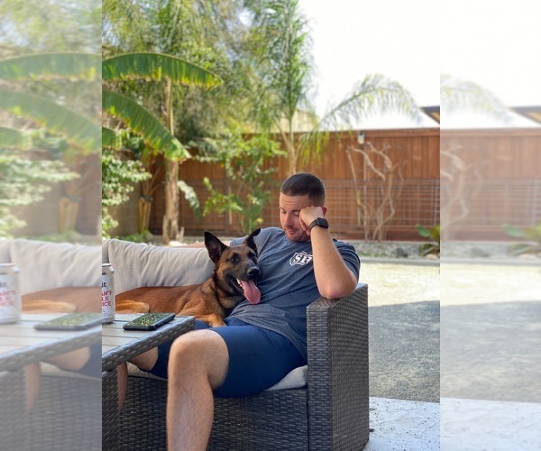 Medium Photo #7  Breeder Profile in DIXON, CA, USA