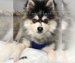 Small #23 Breeder Profile image
