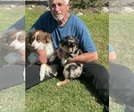 Small #49 Breeder Profile image