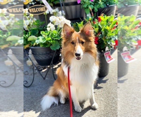 Medium Photo #1  Breeder Profile in CHURCHVILLE, NY, USA