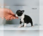 Small #2 Breeder Profile image