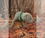 Small #5 Breeder Profile image