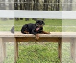Small #9 Breeder Profile image