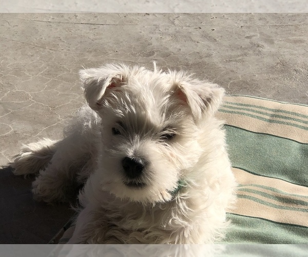Medium Photo #1  Breeder Profile in SEDRO WOOLLEY, WA, USA