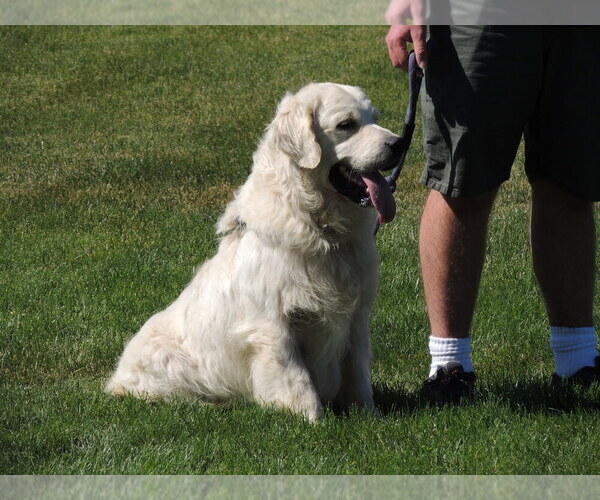 Medium Photo #10  Breeder Profile in ELLENSBURG, WA, USA