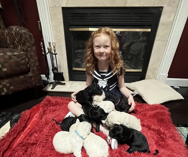 Medium Photo #1  Breeder Profile in LAFAYETTE, IN, USA
