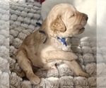 Small #5 Breeder Profile image