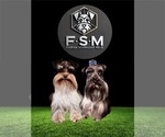 Small #27 Breeder Profile image