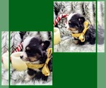Small #6 Breeder Profile image