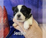 Small #13 Breeder Profile image