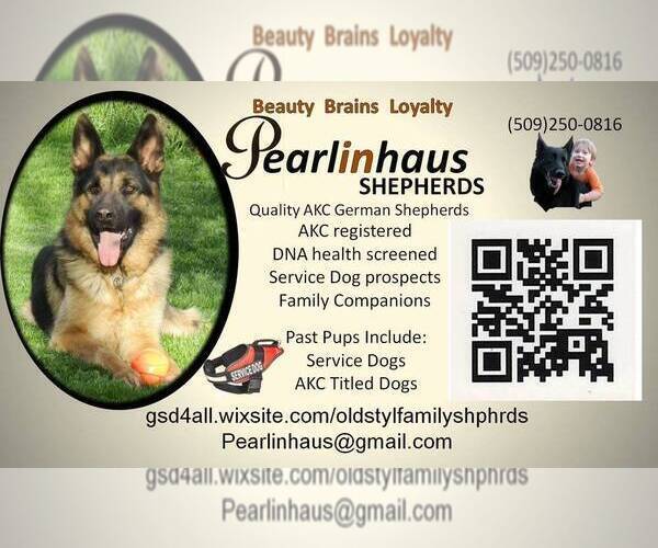 Medium Photo #2  Breeder Profile in GOLDENDALE, WA, USA