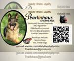 Small #1 Breeder Profile image