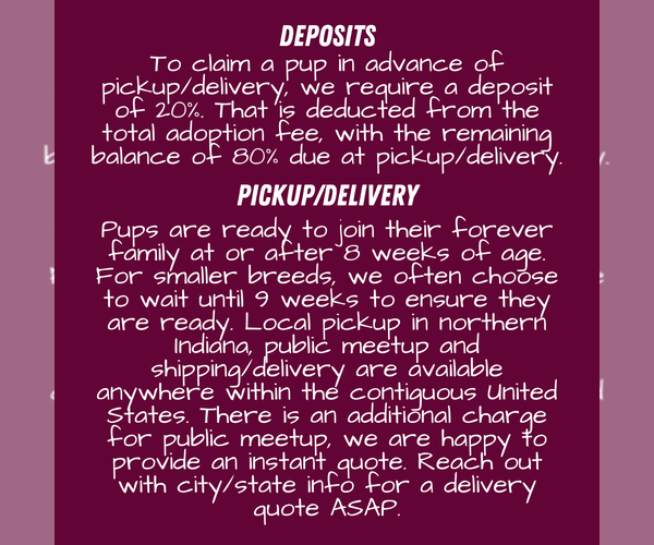 Medium Photo #5  Breeder Profile in GOSHEN, IN, USA