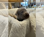 Small #7 Breeder Profile image