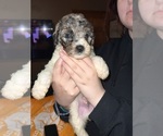 Small #10 Breeder Profile image