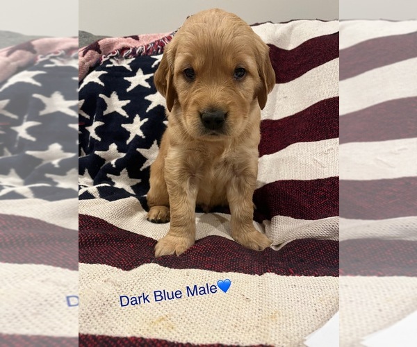 Medium Photo #30  Breeder Profile in SWEETWATER, TN, USA