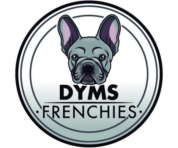 Medium Photo #1  Breeder Profile in MIAMI, FL, USA