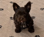 Small #6 Breeder Profile image