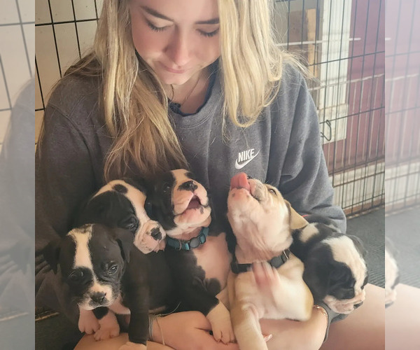Medium Photo #1  Breeder Profile in ATHENS, AL, USA