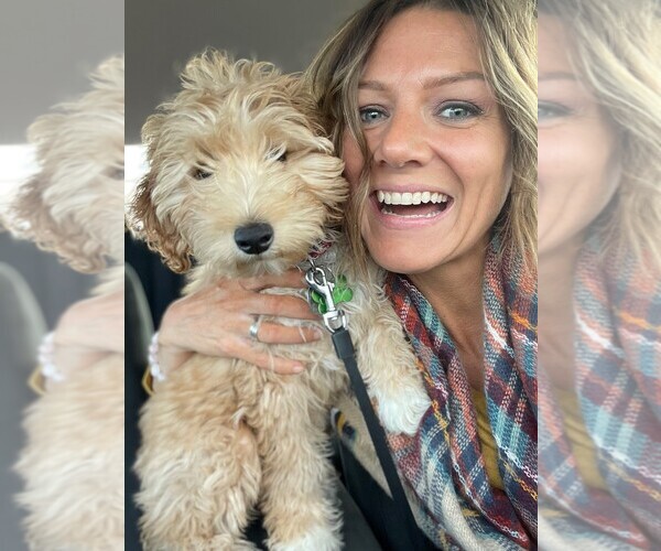 Medium Photo #2  Breeder Profile in JIM FALLS, WI, USA