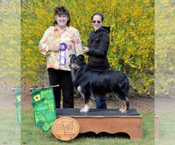 Medium Photo #1  Breeder Profile in VAN BUREN, AR, USA