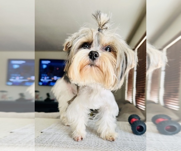 Medium Photo #3  Breeder Profile in FRESNO, CA, USA