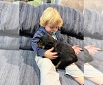 Small #4 Breeder Profile image