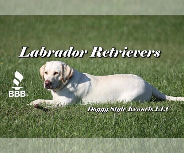 Medium Photo #1  Breeder Profile in BARDSTOWN, KY, USA