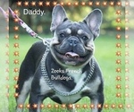 Small #8 Breeder Profile image