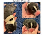 Small #3 Breeder Profile image