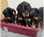 Small #2 Breeder Profile image