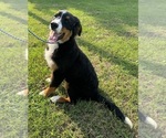 Small #25 Breeder Profile image