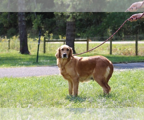 Medium Photo #5  Breeder Profile in NEOLA, WV, USA