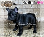Small #2 Breeder Profile image