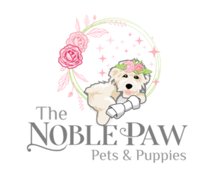Shih Tzu Dog Breeder near STUART, FL, USA