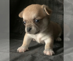 Small #4 Breeder Profile image
