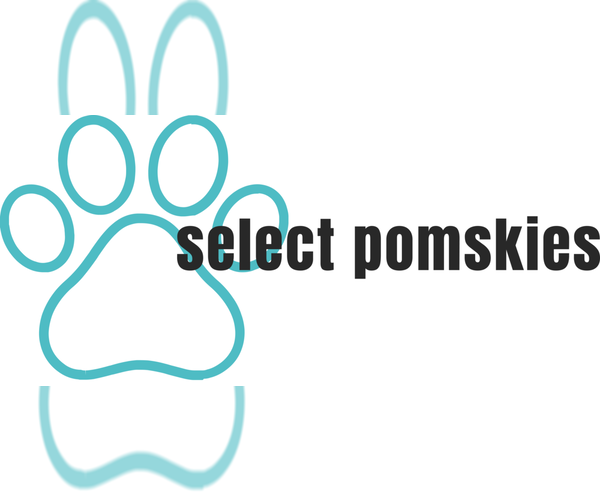 Medium Photo #2  Breeder Profile in DE SOTO, KS, USA