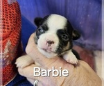 Small #3 Breeder Profile image