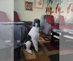 Small #5 Breeder Profile image